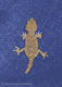 Hj�lmgecko