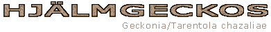 Hj�lmgeckos
