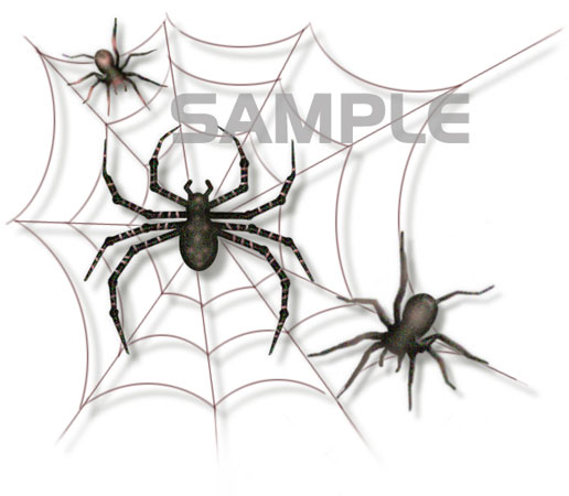 Spiders for Halloween