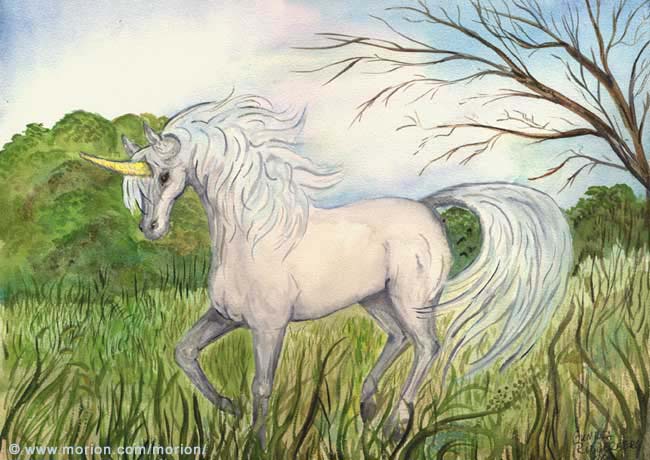 White Unicorn