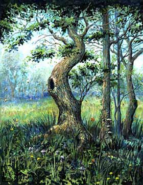 Honeytrees av Andrew Jameyson �