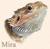 About Mira