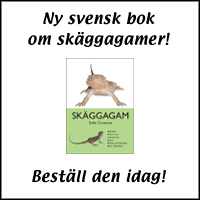 Beställ boken SKÄGGAGAM på svenska
