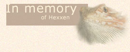 In memory of Hexxen