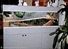 Nya terrariet. Foto Gunilla �
