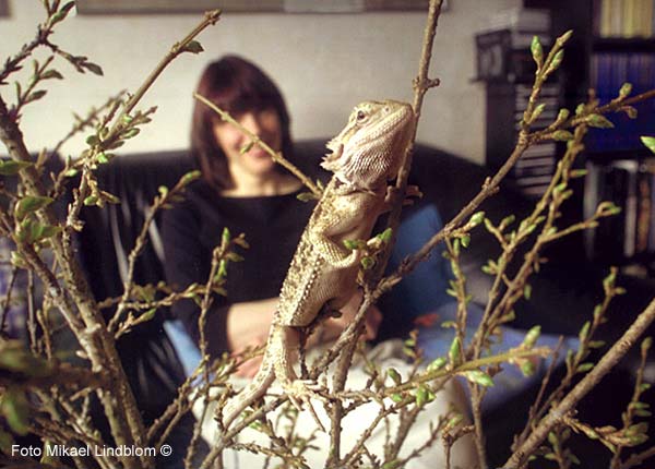 Liten Teo, Foto Mikael Lindblom �