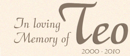 In loving memory of Teo