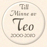 Till minne av Teo