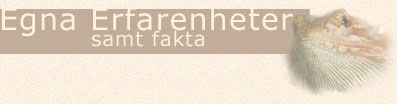Mina egna erfarenheter av att �ga en sk�ggagam