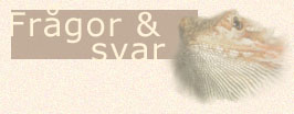 Fr�gor och svar ang sk�ggisar