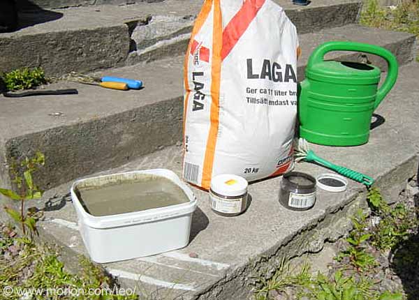 Tr�terrarium, Foto � Gunilla