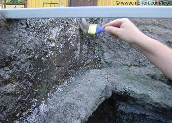 Tr�terrarium, Foto � Gunilla