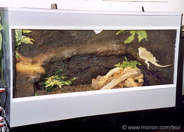 Terrarium med bergsbakgrund, Foto � Gunilla