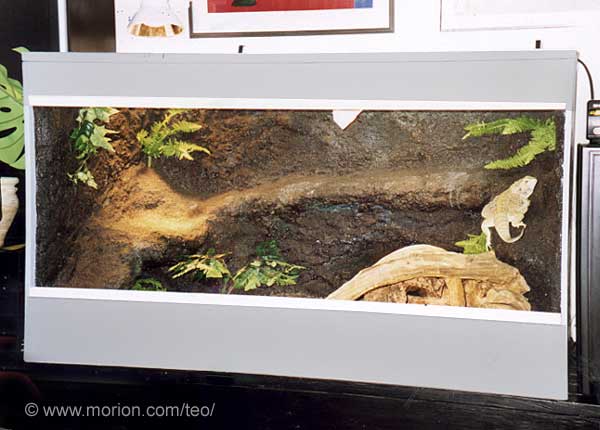 Terrarium med bergsbakgrund, Foto � Gunilla